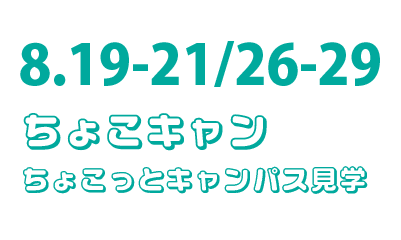 8.19（火）～8.29（金）